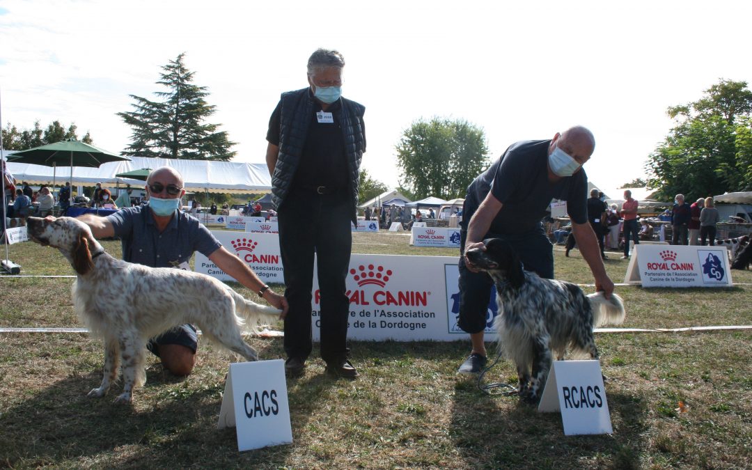 Exposition SORGES EN PÉRIGORD dimanche 6 septembre 2021