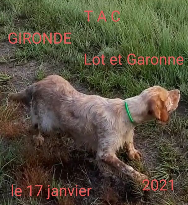 INFO : TAC GIRONDE DIMANCHE 17 JANVIER 2021(sous réserve d’autorisations)