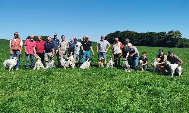 Résultats TAN de Poullaouen 2021