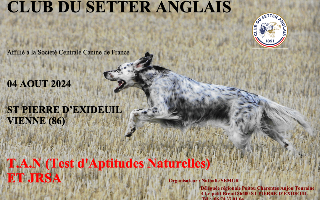 Saint-Pierre-d’Exideuil (86) : TAN et JRSA le 04/08/2024