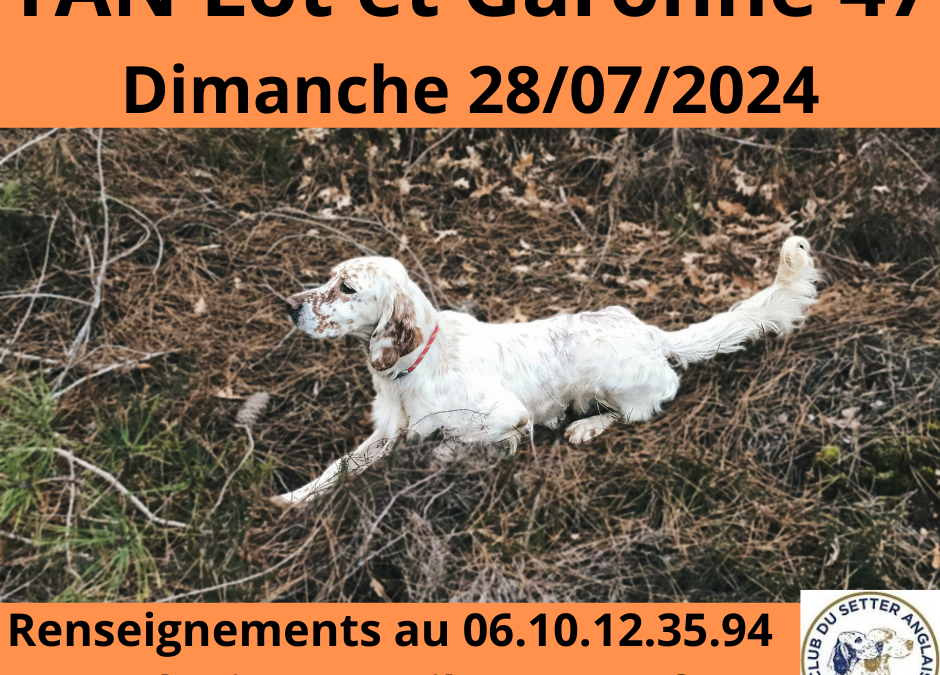 TAN du Lot-et-Garonne dimanche 28/07/2024