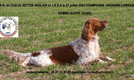 TAN de Somme-Suippe (51) samedi 27/07/2024
