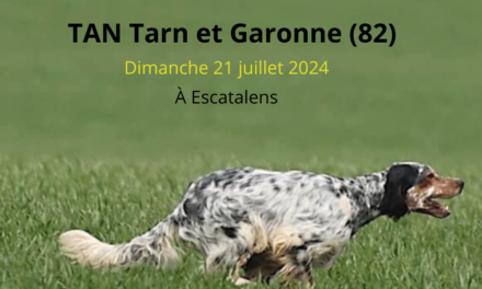 TAN du Tarn-et-Garonne dimanche 21/07/2024