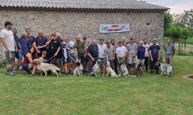 Résultats TAN du Lot-et-Garonne du 28/07/2024