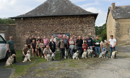 Résultats TAN de Vern-sur-Seiche (35) du 27/07/2024