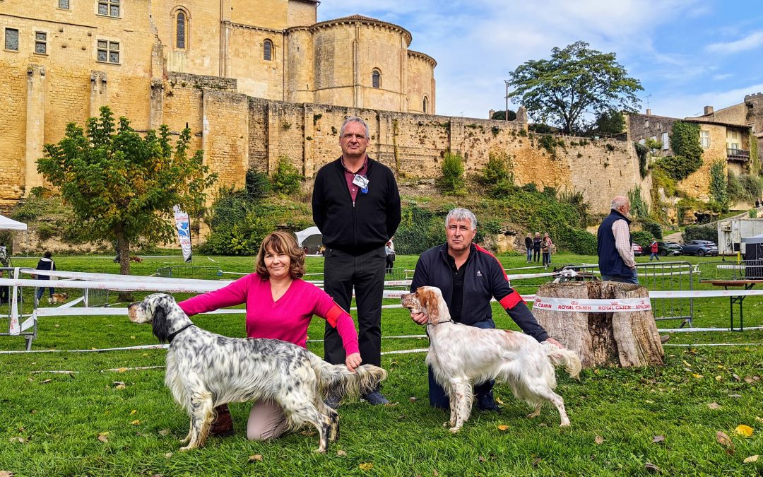 Résultats de l’expo de Saint-Macaire (33) du 06/10/2024