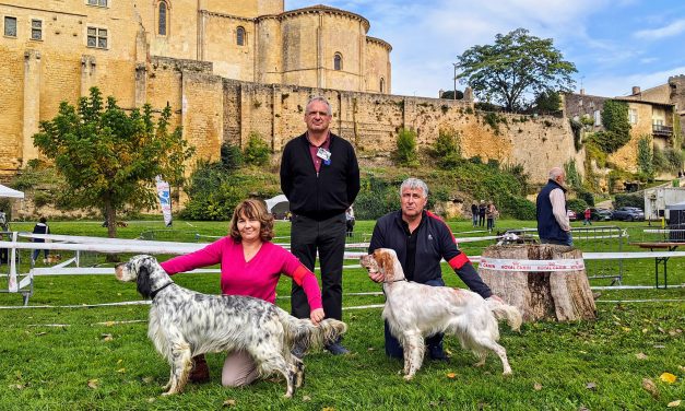 Résultats de l’expo de Saint-Macaire (33) du 06/10/2024