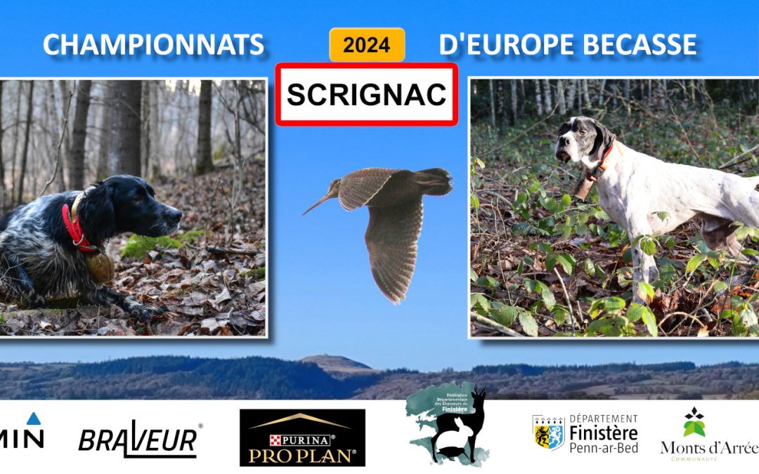 Résultats Championnats d’Europe bécasse Scrignac (29) 17/12/2024