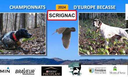 Résultats Championnats d’Europe bécasse Scrignac (29) 17/12/2024